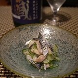 【富山食材】このしろとキュウリの酢の物